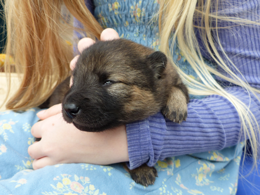Die ersten offenen Augen
