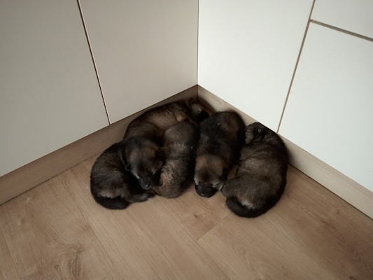 Neuer Ort für den Schlafhaufen