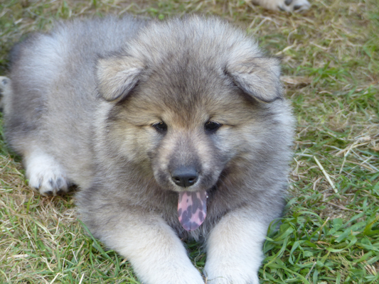 Heute habe ich meine neue Familie kennengelernt