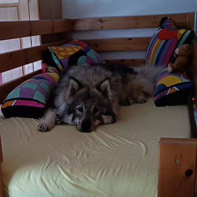 Entspannen im Hochbett