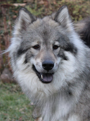 Heute besuche ich Teddy