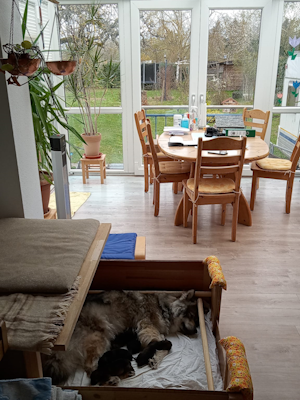 Im Wintergarten ist es auch bei schlechtem Wetter gemütlich